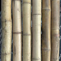 2"-3" Thick Bamboo Poles